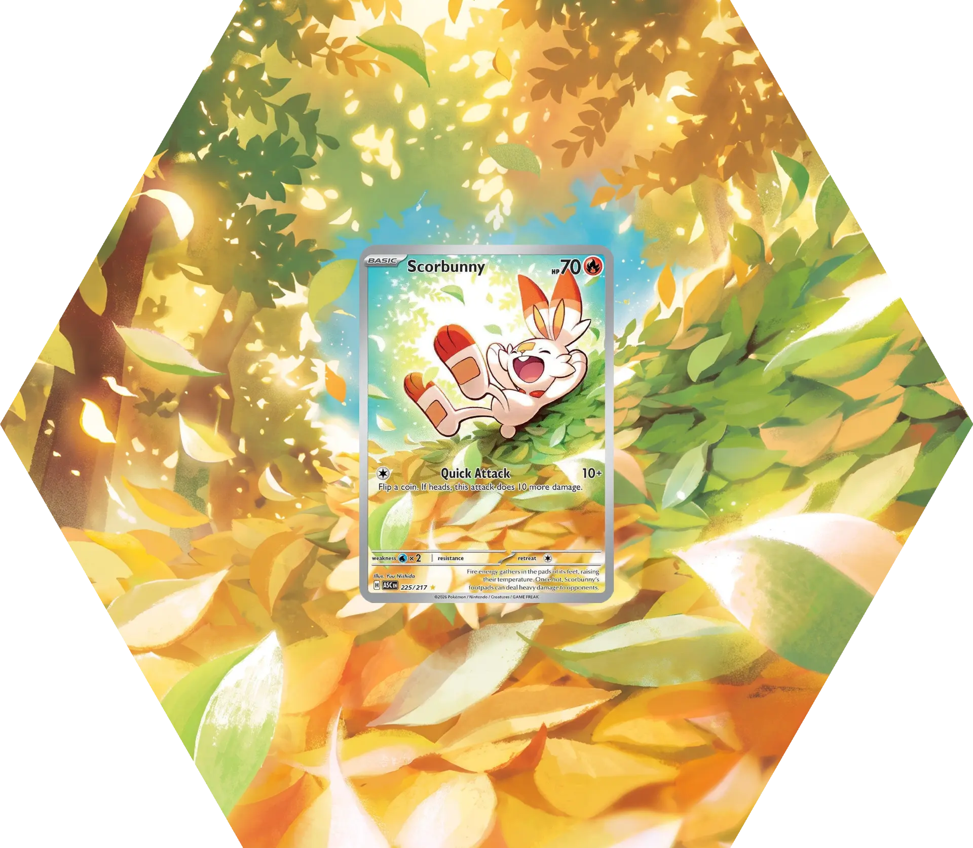 ASC Scorbunny IR extended art frame